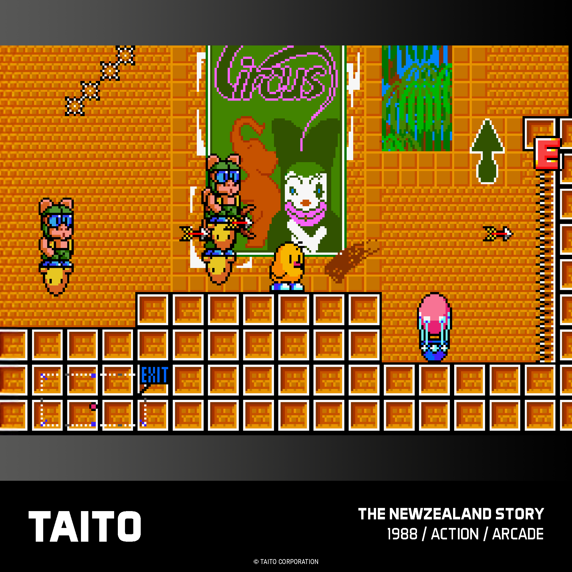 Evercade Cartridge #18 - Taito Arcade Collection 2 - Image 11