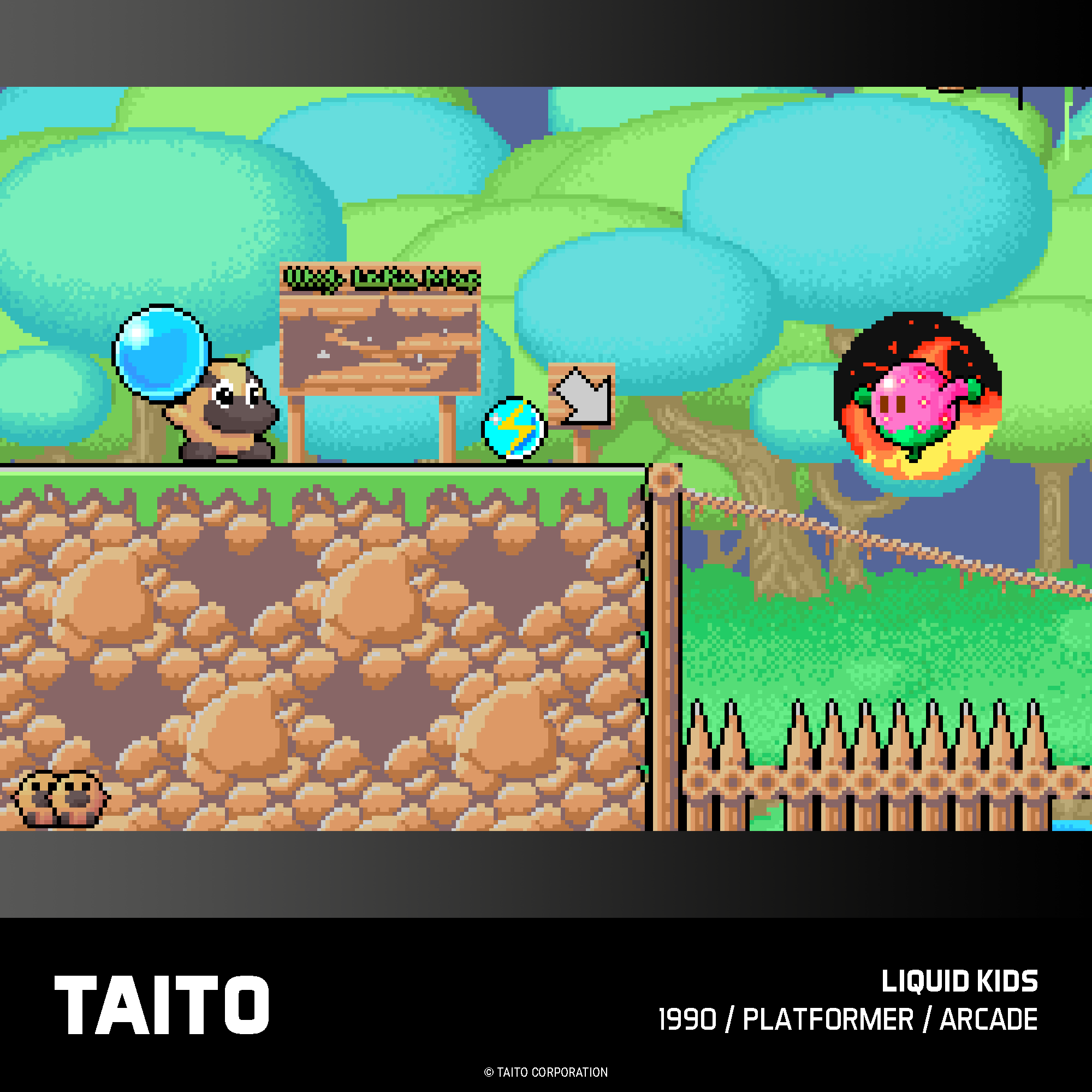 Evercade Cartridge #18 - Taito Arcade Collection 2 - Image 8