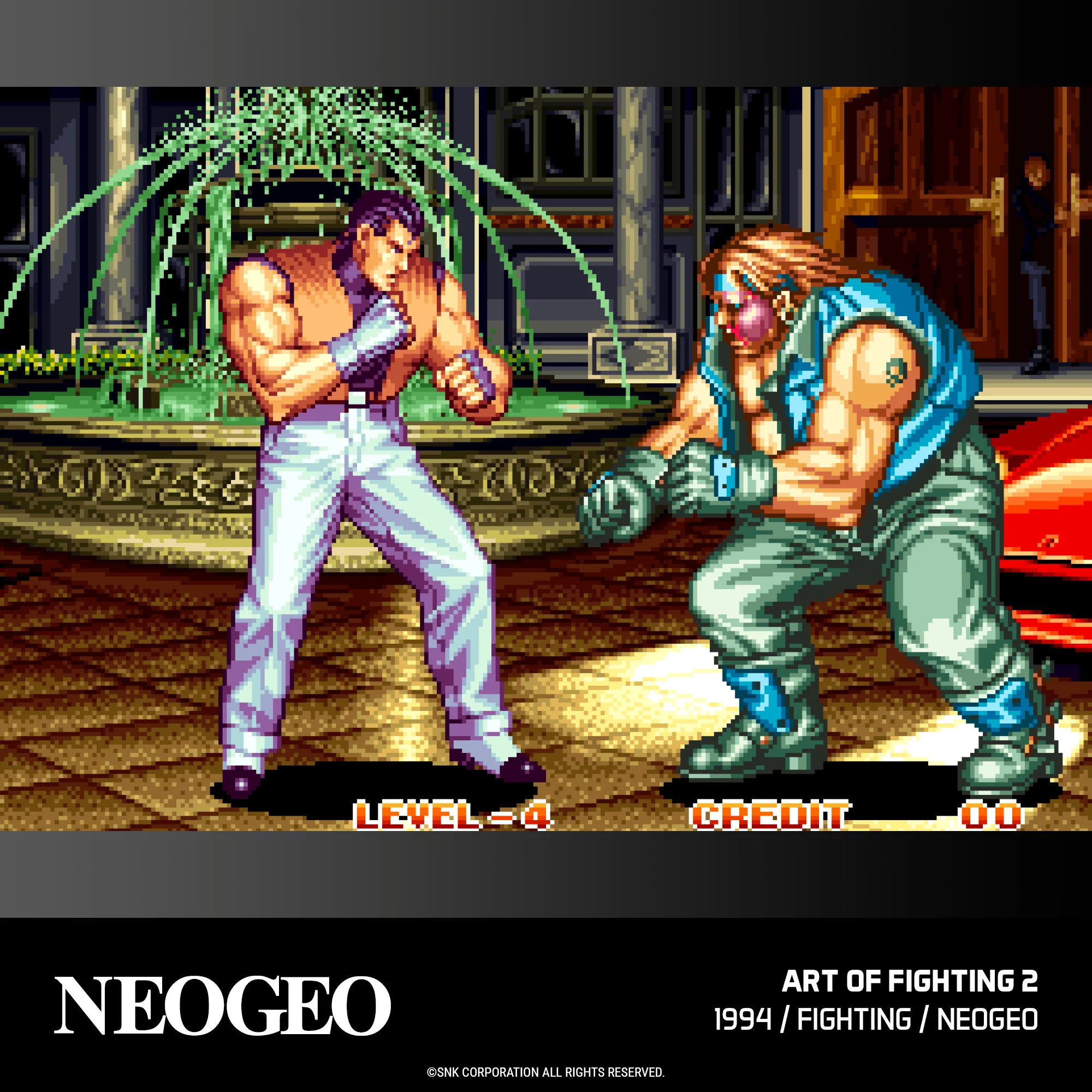 Evercade Cartridge #19 - NEOGEO Arcade 2 - Image 10