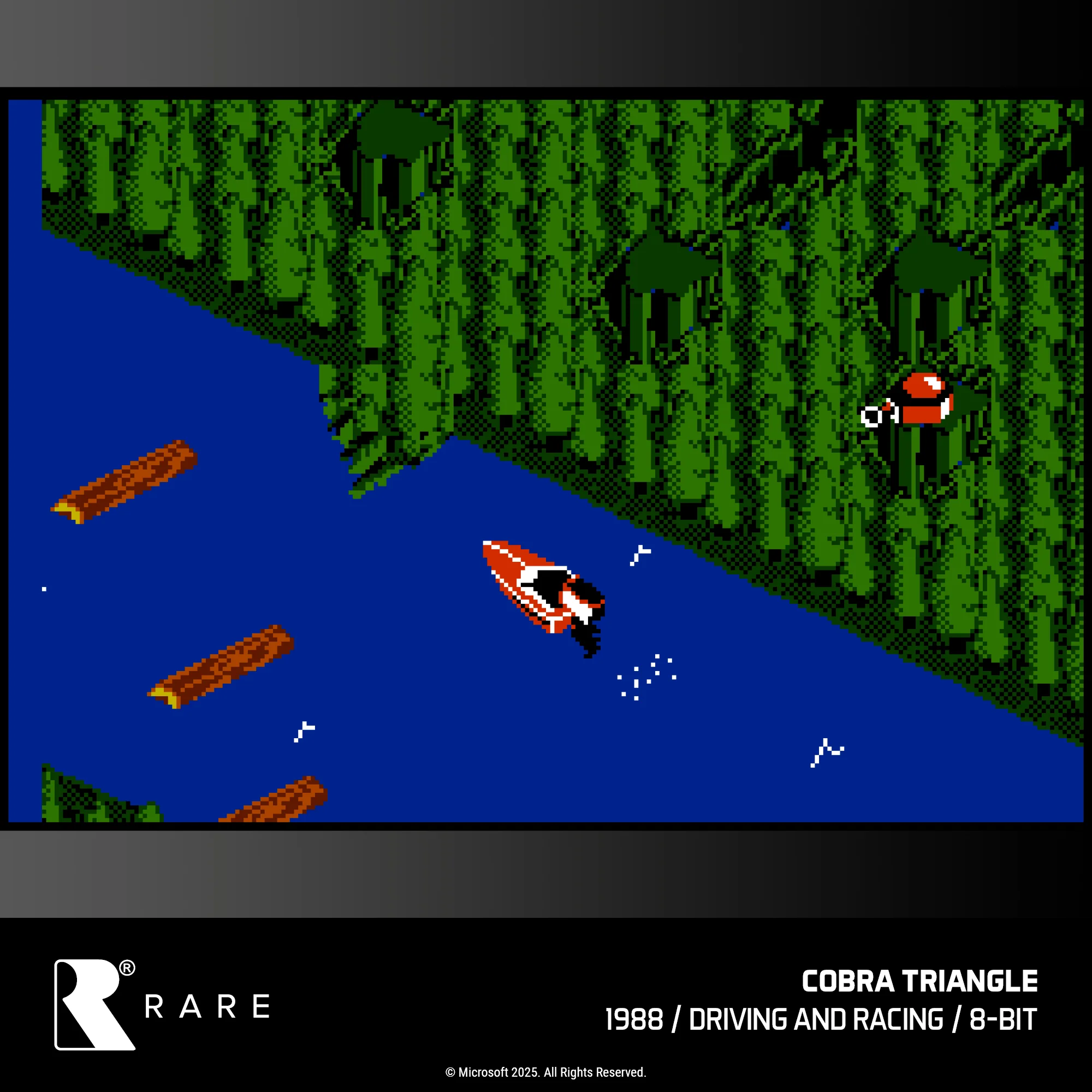 Evercade Cartridge #48 - Rare Collection 1 - Image 11