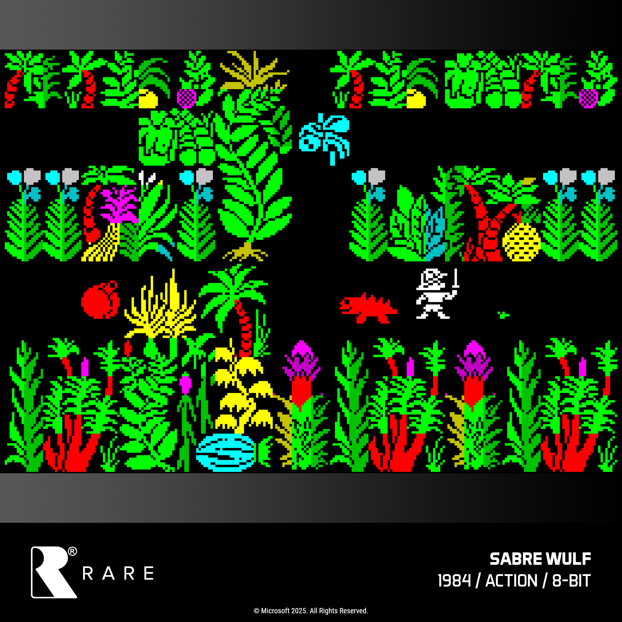 Evercade Cartridge #48 - Rare Collection 1 - Image 13